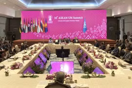联合国愿为东盟继续实现可持续发展目标提供协助