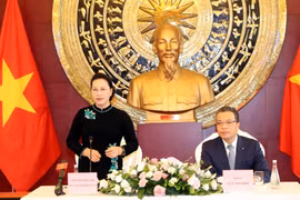 阮氏金银访华：造访越南驻华大使馆 
