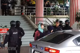 越南采取一切措施来保护段氏香合法权益