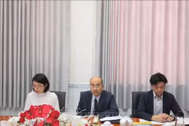 日本企业赴芹苴市寻找投资机会