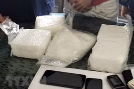 清化省：破获一起从老挝贩运到越南的毒品案