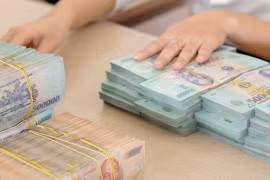 越南跻身2019年全球十大侨汇收入国