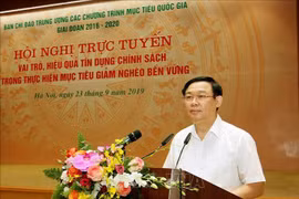 王廷惠：政策性贷款是可持续扶贫国家目标计划中的重要支柱