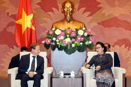 越南国会主席阮氏金银会见欧盟驻越代表团团长安格莱特