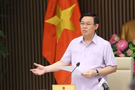 王廷惠副总理：严肃处理伪造越南原产地证的欺诈行为