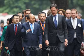 荷兰首相马克·吕特圆满结束对越南进行的正式访问