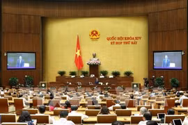 越南第十四届国会第七次会议：讨论2020年国会监督计划
