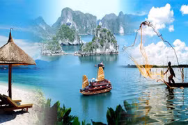 埃及投资商在越南投资3亿美元的旅游服务项目