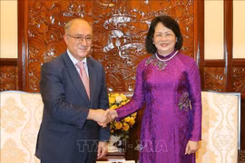 国家副主席邓氏玉盛会见德国世界大学协助组织主席