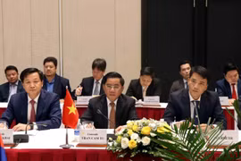 越共中央检查委员会代表团与老挝人民革命党中央纪检委员会代表团会谈