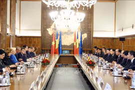 政府总理阮春福与罗马尼亚总理登奇勒举行会谈
