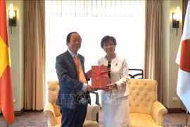 日本支持越南担任2020年东盟轮值主席国期间展开的环保优先事项