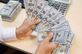 12月19日越盾对美元汇率中间价上调5越盾
