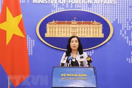 外交部发言人：越南高度重视促进越美全面伙伴关系发展