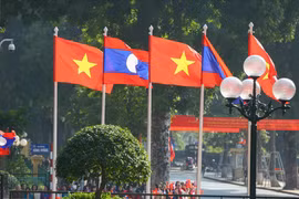 加强越老两军合作，增进两国特殊团结