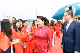 越南国会主席阮氏金银抵达北京 继续对中国进行正式访问