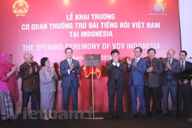 《越南之声》在印尼开设常驻机构