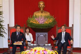中央经济部部长阮文平会见日本国际协力银行执行董事