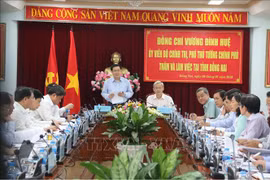 政府副总理王廷惠：同奈省应促进城镇化与工业化协调发展