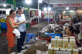 宁平省举行2019年红河平原地区“一乡一品”国际博览会