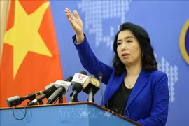 越南外交部发言人：东海上所有活动都需要在尊重各国主权和国际法基础上进行