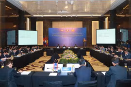 第18届柬老越三国禁毒合作部长级会议在河内举行