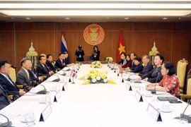 越南国会主席阮氏金银与泰国国会下议院议长川•立派举行会谈