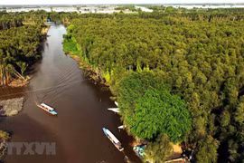 抓紧时间编制起草九龙江三角洲地区可持续发展总体规划