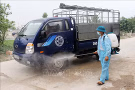 国际社会帮助越南应对非洲猪瘟疫情