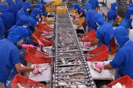被期望扩大对欧盟出口的越南前5种商品