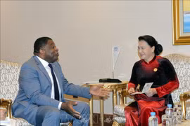 越南国会主席阮氏金银会见各国议会联盟秘书长马丁•纯贡