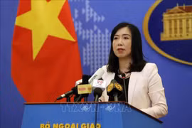 越南外交部发言人：越南建议东海周边国家继续为维持海上和平稳定做出贡献