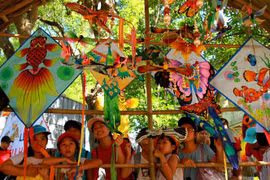 2019年顺化风筝节有助于保护和弘扬顺化传统风筝艺术