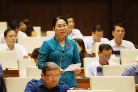 第十四届国会第七次会议：通过关于国会2020年监督计划决议