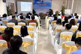 越南吸引外国人赴越体验优质医疗保健服务