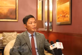 越南采取多项举措，切实打好防范化解重大风险攻坚战