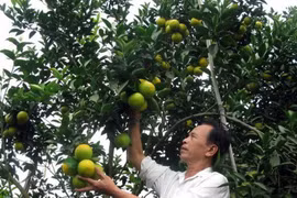 全国共有69件国家地理标志产品 