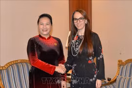 IPU主席：越南是持续不断行动而兑现国际承诺的榜样 