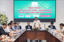越柬商人对接之旅街头狂欢活动将于12月份举行