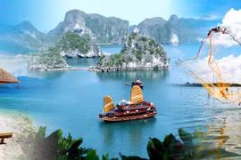  为助推越南旅游业发展建言献策