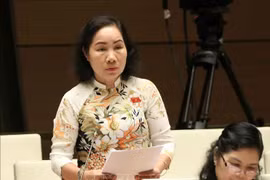 越南第十四届国会第七次会议：大力改善投资营商环境 为人民和企业创造便利