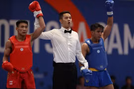 第30届东南亚运动会：3日越南队共夺得七金五银两铜