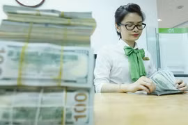 世行： 2019年越南侨汇收入达约167亿美元