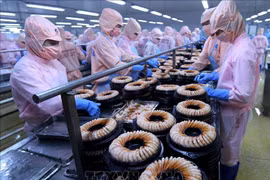 亚洲开发银行：越南是2019年东南亚地区经济增长速度最快的国家