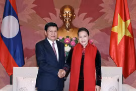 越南国会主席阮氏金银会见老挝总理通伦