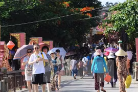 2019年8月越南接待国际游客达151万人次