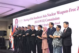 越南出席东南亚无核武器区条约委员会会议