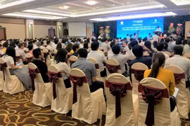 东南部地区创新创业日在巴地头顿省开幕
