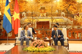 瑞典驻越南大使对河内所取得的成就印象深刻