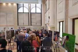  “越南景观”图片展在西班牙开展